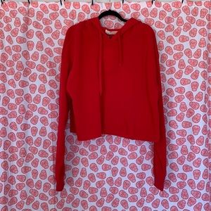 NWT Crop hoodie